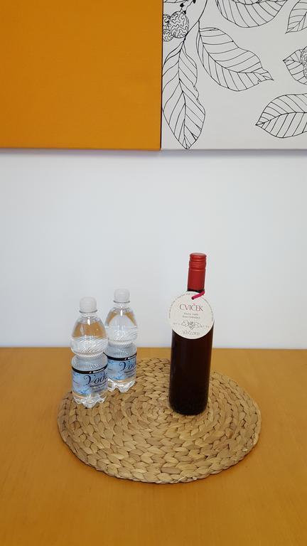 Atrium Flat In The Villa 류블랴나 외부 사진